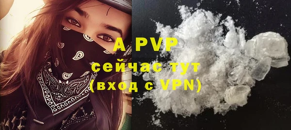 прущие крисы Богданович