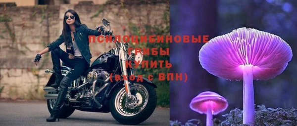не бодяженный Богородицк