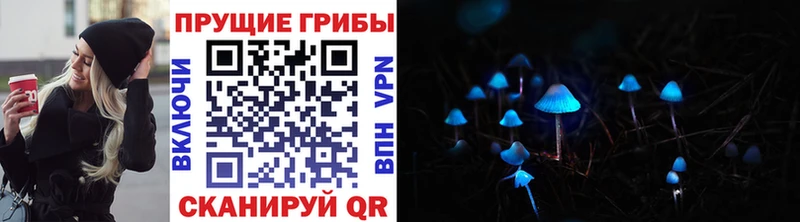 Галлюциногенные грибы Psilocybine cubensis  продажа наркотиков  Нахабино 